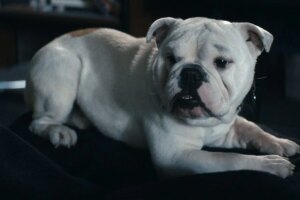 Revisión del episodio 5 de la temporada 5 de The Boys: desorden servido caliente