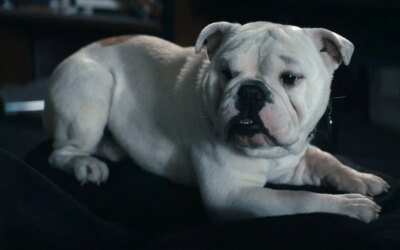 Revisión del episodio 5 de la temporada 5 de The Boys: desorden servido caliente