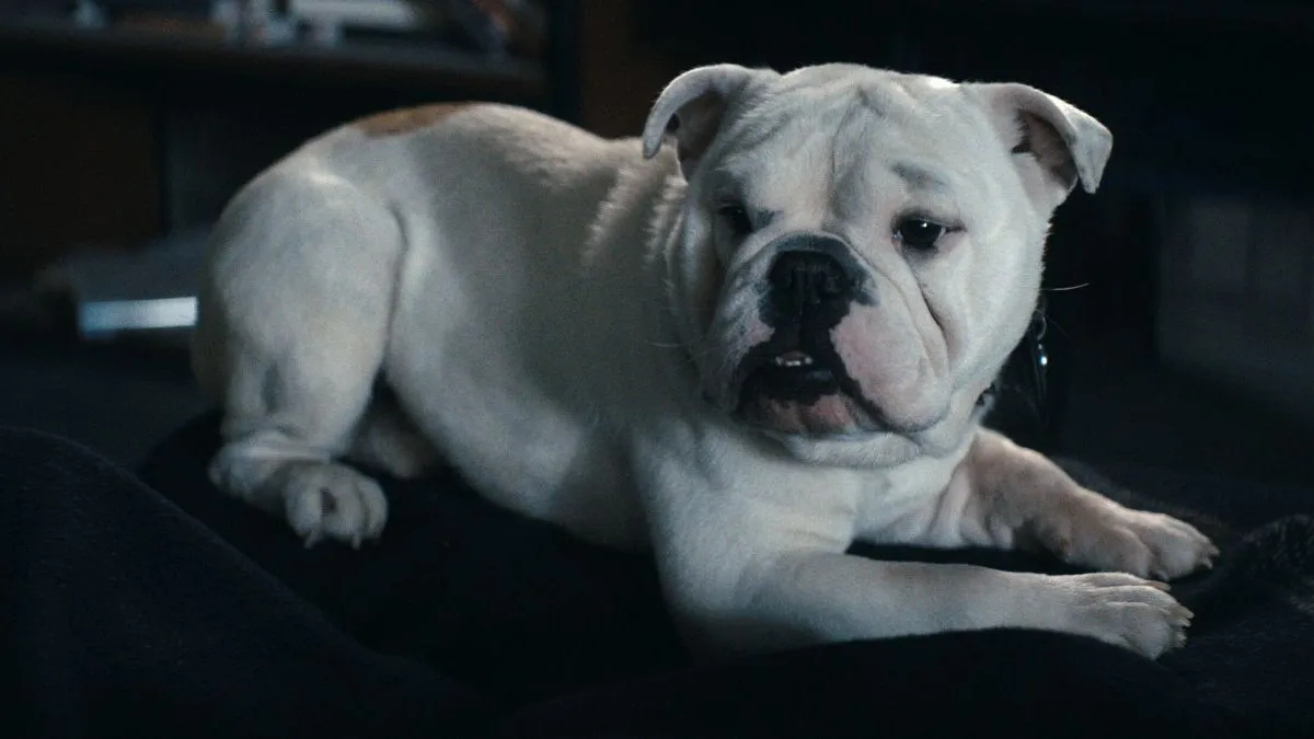 Revisión del episodio 5 de la temporada 5 de The Boys: desorden servido caliente