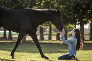 Black Beauty Review: la película de Disney+ se inclina hacia los tropos de la chica caballo