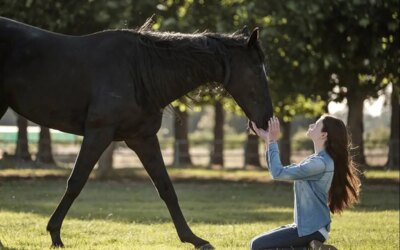 Black Beauty Review: la película de Disney+ se inclina hacia los tropos de la chica caballo