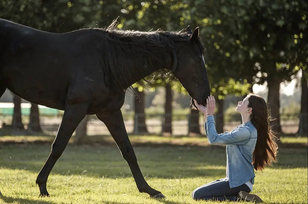 Black Beauty Review: la película de Disney+ se inclina hacia los tropos de la chica caballo