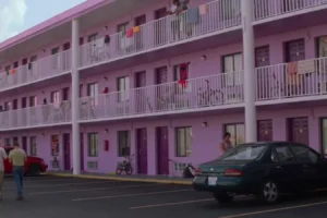 14 veces que las películas presentaron el gran estado de Florida