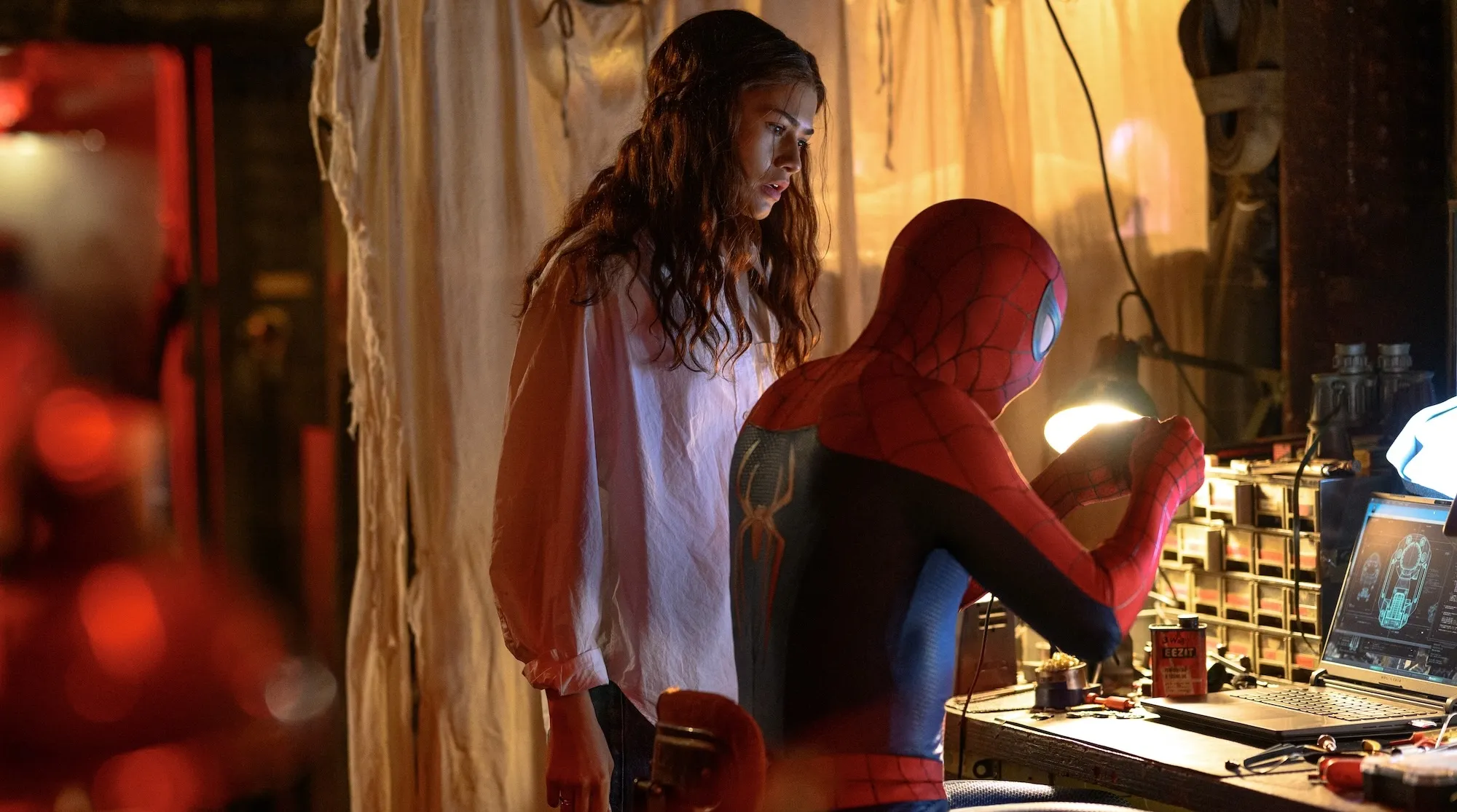 Zendaya in Spider-Man Brand New Day Review