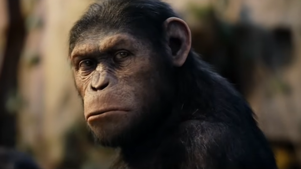 Los mejores reinicios de películas que realmente valieron la pena ver